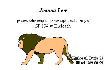 wizytówka