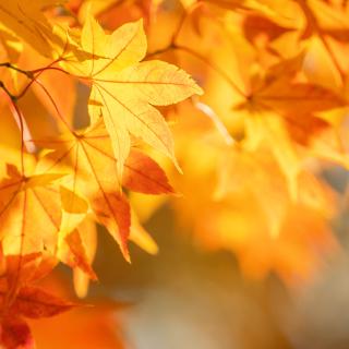 Najlepszy w województwie lubelskim! 